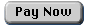 Click to Pay NOW with Credit/Debit Card via Secure Srever 