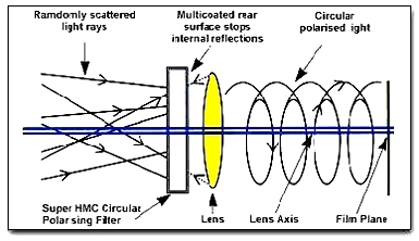 How Polerising filters work