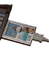 No Larger Image