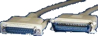 No Larger Image