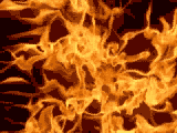 No Larger Image