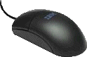 No Larger Image